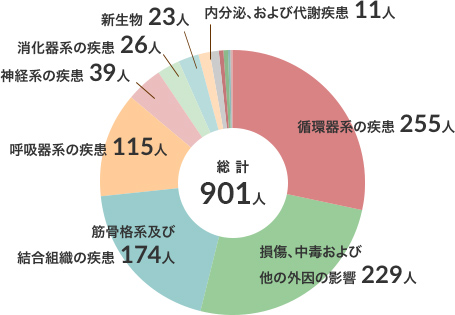 退院患者　疾病別分類（平成29年度）のグラフ