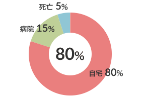 脳血管疾患患者在宅復帰率（n-20） 図